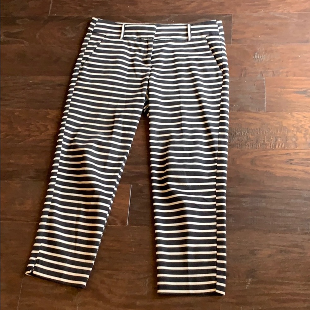 Loft pants